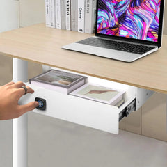 Biometric Locking Sliding Under Desk Drawer